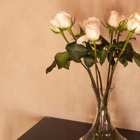 Rosas & Xocolate Boutique Hotel And Spa Merida, A Member Of Design Hotels Eksteriør bilde