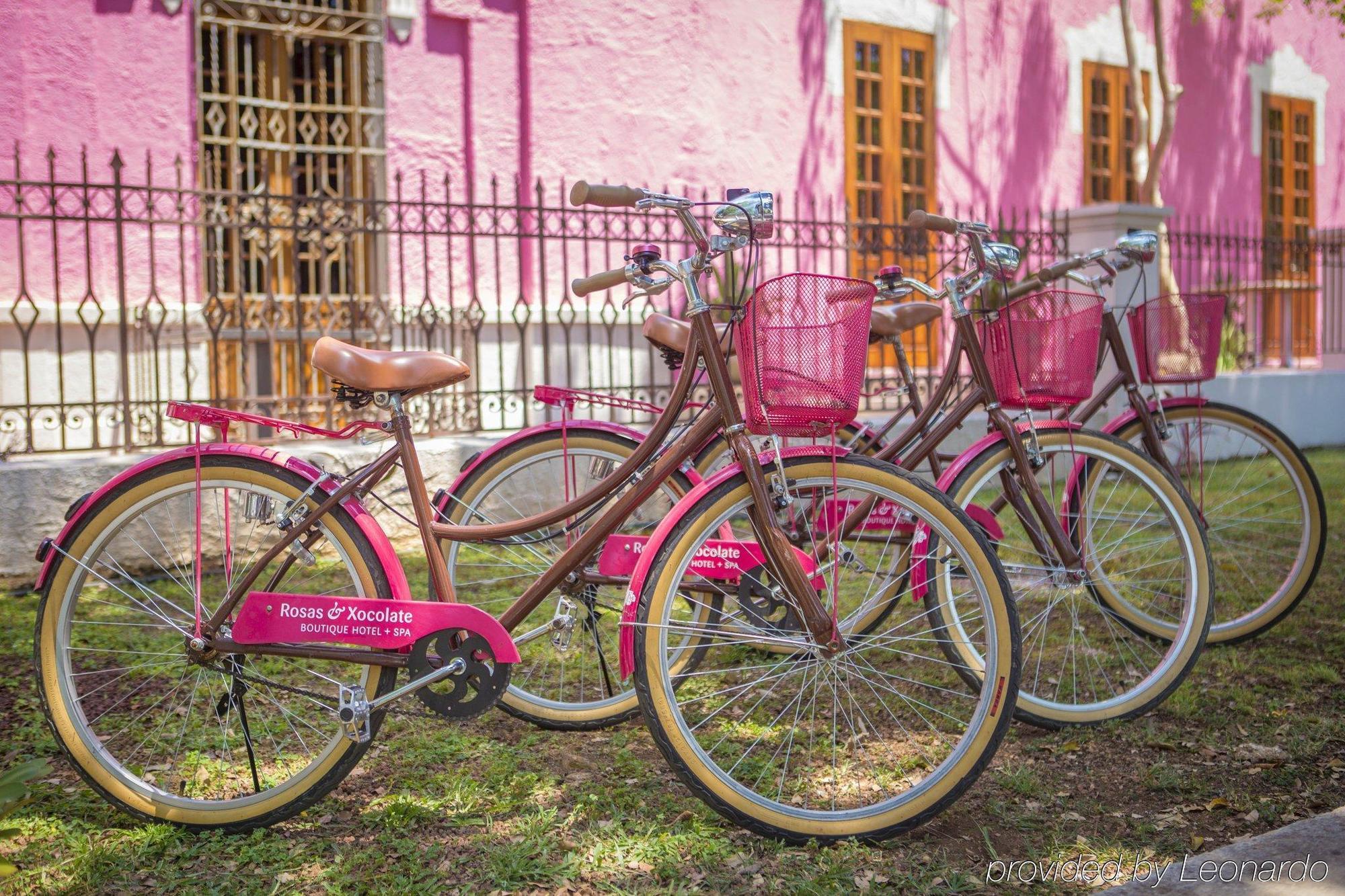 Rosas & Xocolate Boutique Hotel And Spa Merida, A Member Of Design Hotels Eksteriør bilde